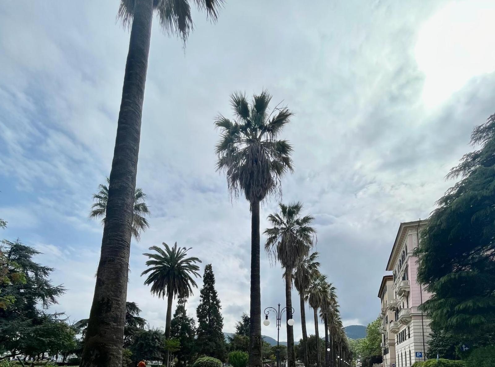 Breathe Liguria - Lucy 1 Bedroom And 1 Apartment In A Newly Renovated Nineteenth-Century Building In The Historic Center Near The Sea La Spezia Exterior foto